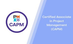 Certified Associate in Project Management(CAPM)