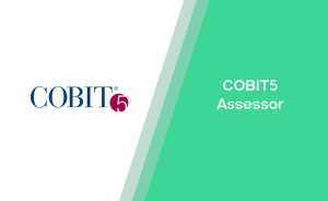 COBIT5 Assessor