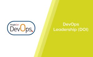 DevOps Leadership (DOI)