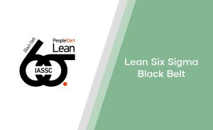 Lean Six Sigma Black Belt