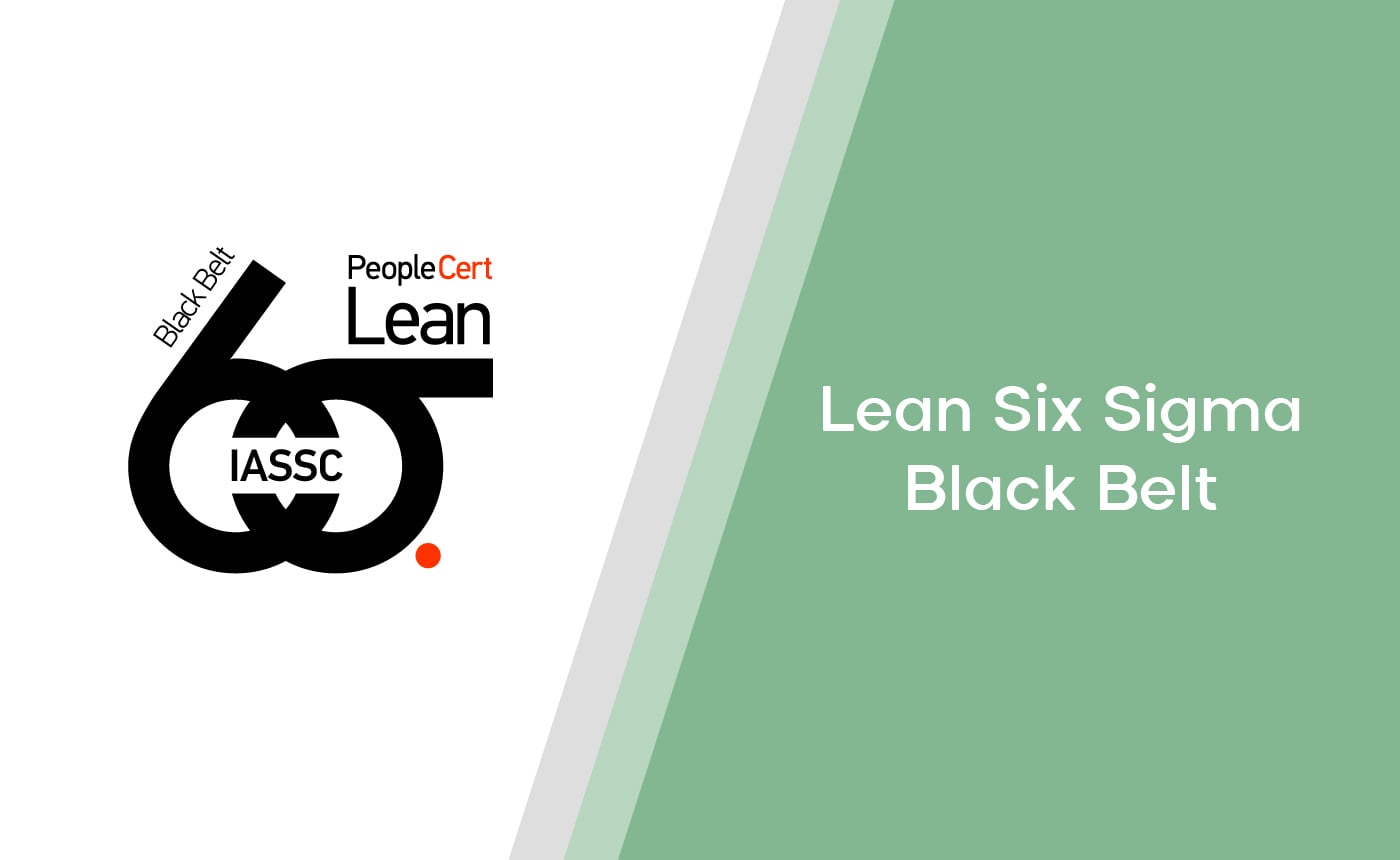 Lean Six Sigma – IASSC® Certified Black ​ Belt™ ICBB™​