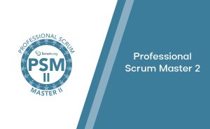 Professional Scrum Product Owner 2